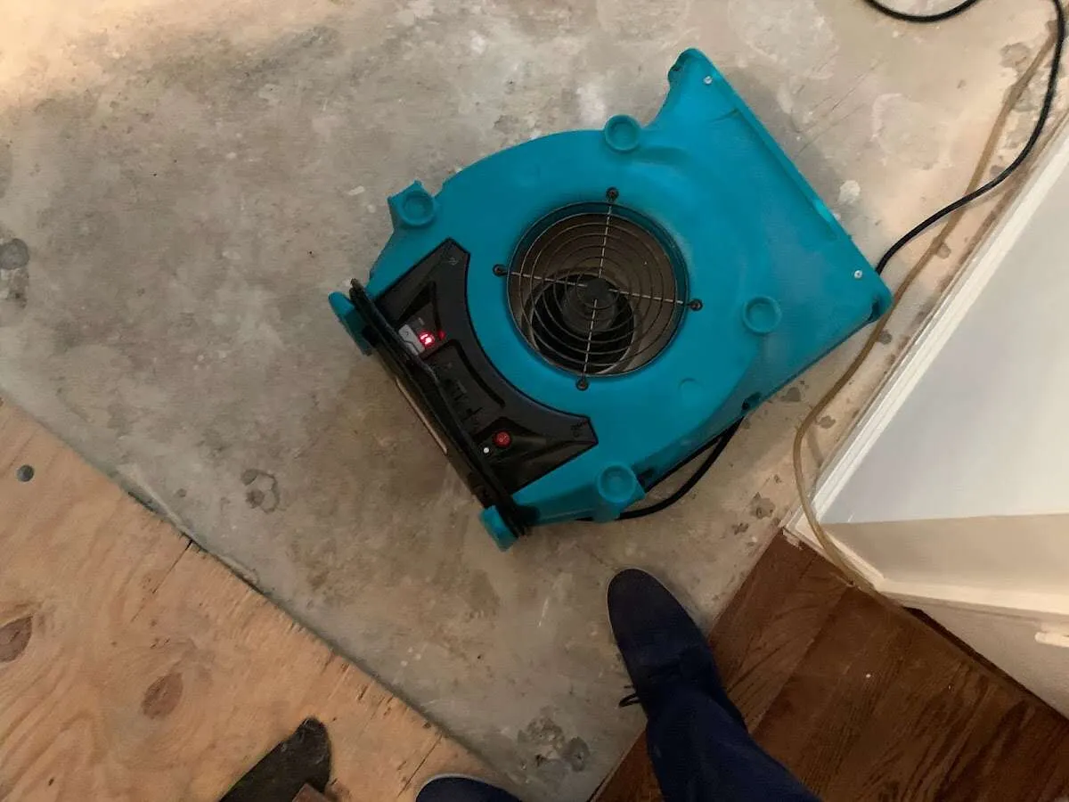 Air mover drying subfloor during Commercial Water Damage Restoration in Lyons